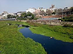 竹縣農地大清查！工業區農地未農用恐喪失稅賦優惠，土地移轉將面臨重稅風險