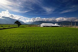 國土法上路：工業廠房與農地工廠的關鍵轉折