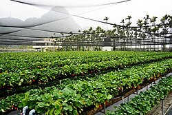 市地重劃加速土地活化　苗栗住宅與商業發展潛力受矚目